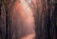 比较聚财的公司名字免费取名